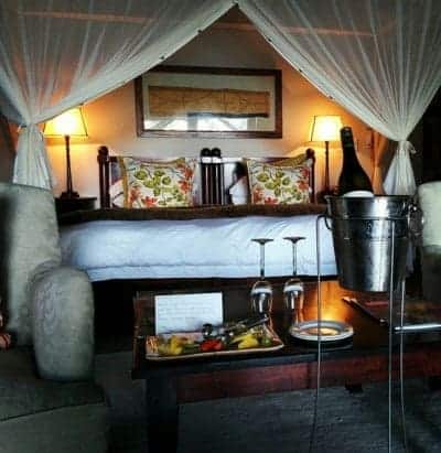 We alerted the safari lodge management that our visit was part of our honeymoon. They upgraded us to a special suite and served us a private dinner our first night as a honeymoon treat!