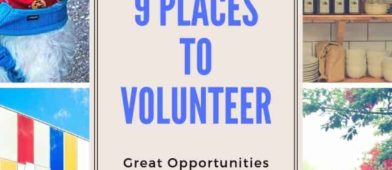 Are you looking for great volunteering opportunities and organizations? We look at some great places to consider donating your time!