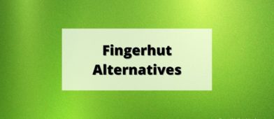 fingerhut alternatives