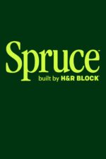 spruce money logo