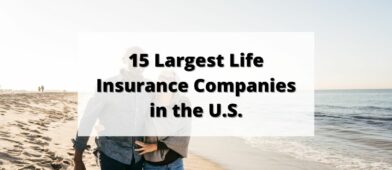 largest life insurance companies
