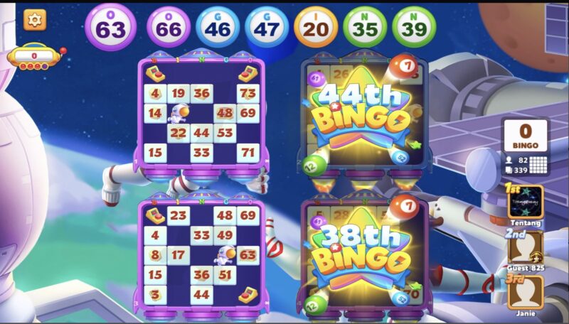 bingo party multiple bingo cards