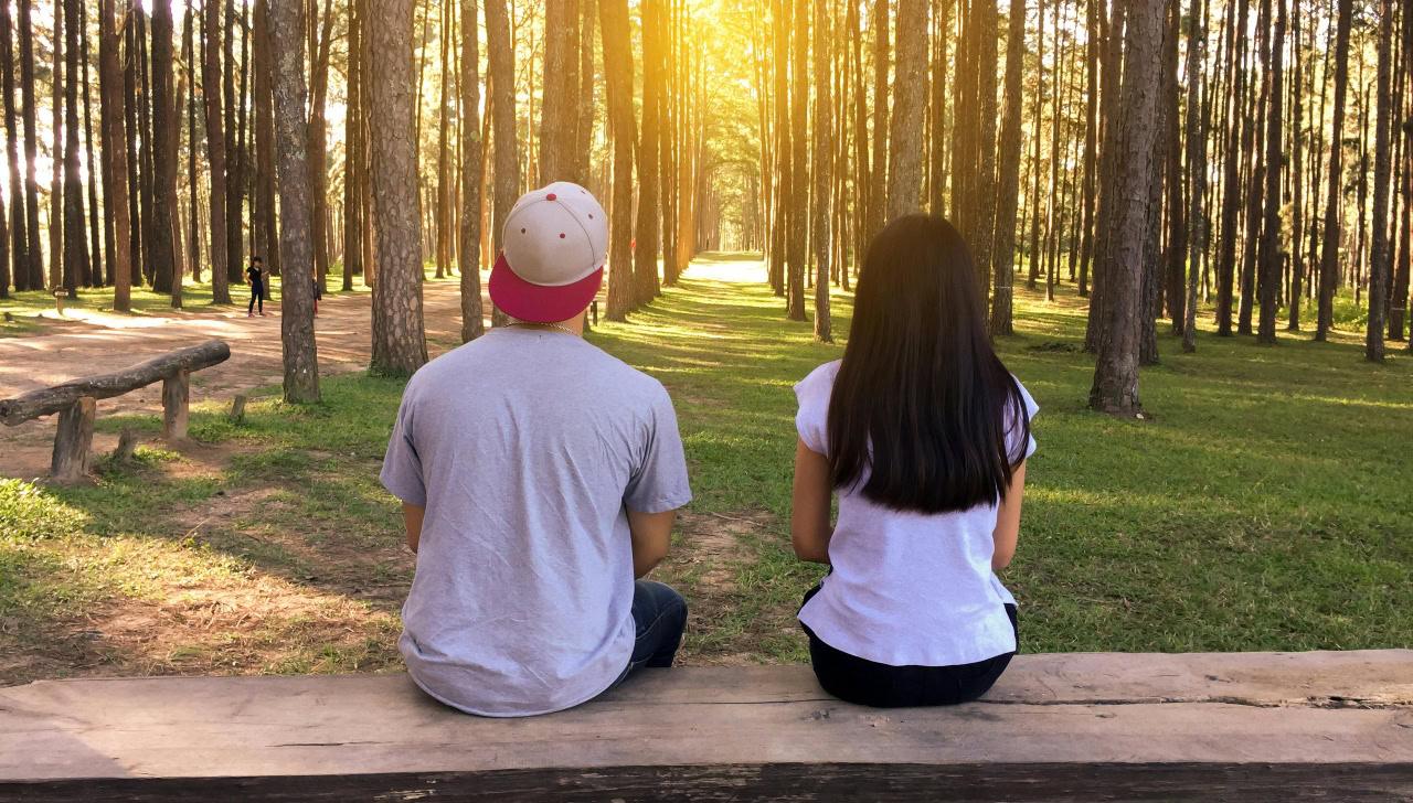 couple sitting on a bench with their back to the camera looking at a forest of trees